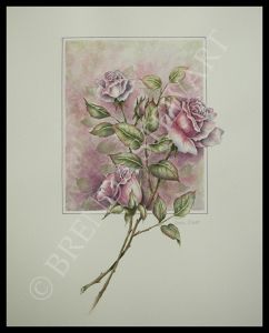 Framed Long Stemmed Rose Watercolor